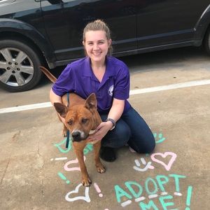 Meet your Posher, Jordan